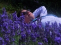 Lavender Fields 2011 013
