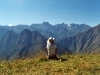 thumbs_photo_0009