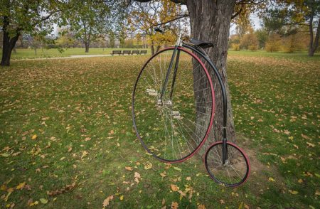 A penny-farthing bicycle in a park with fallen autumn leaves jane-davis.co.uk